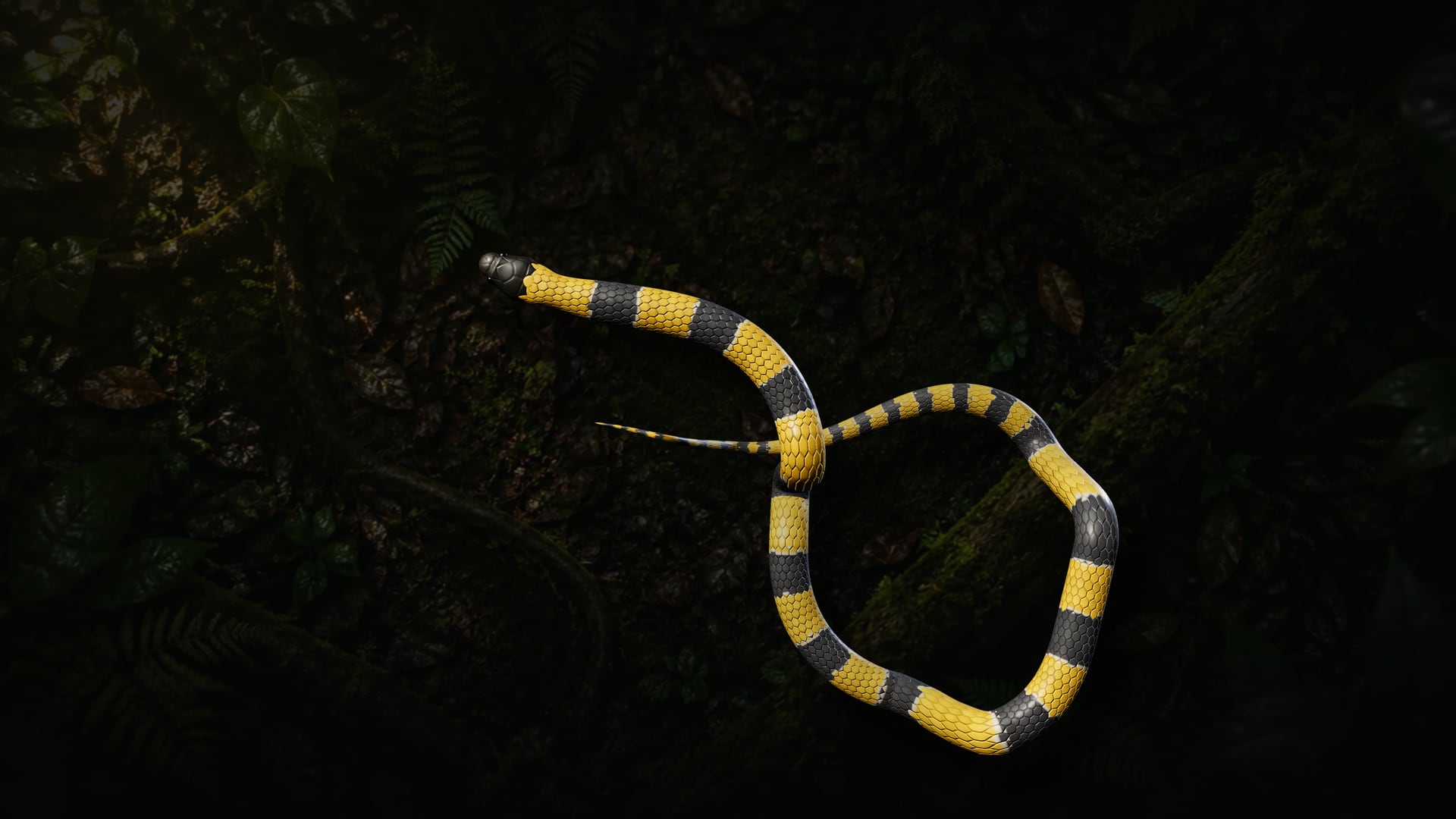 Cobra-coral de anéis amarelos e cinza-grafite, em 3D, deslizando sobre o chão escuro da Mata Atlântica visto de cima.