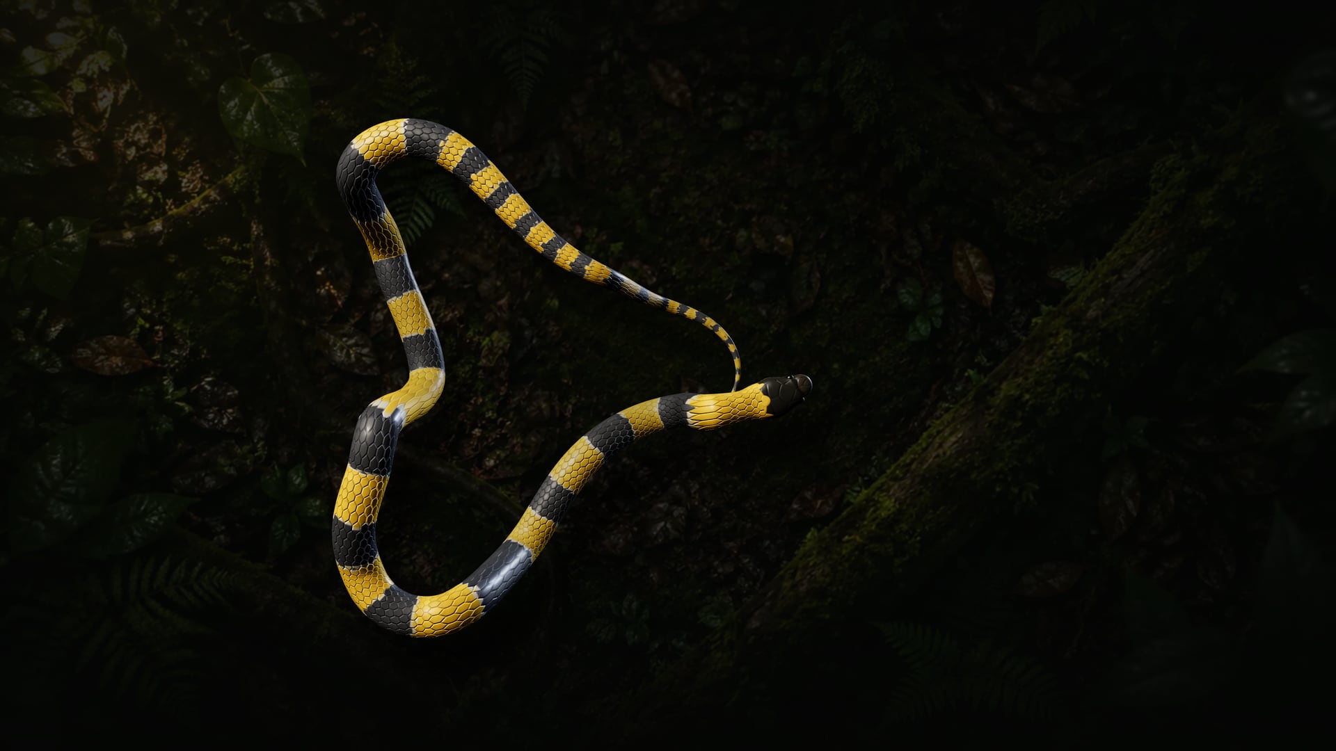 A cobra inteira em 3D fazendo uma curva em S sobre o chão escuro da mata, com a cabeça à direita.